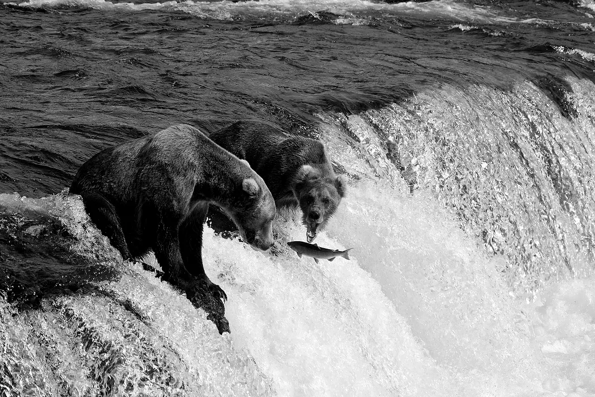 Why Small Systematic Funds Can Be More Nimble Than Multi-Strategy Giants
