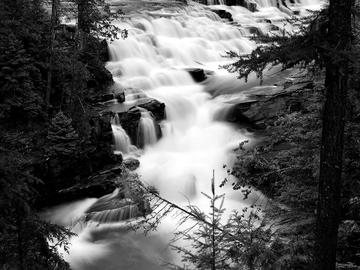 Water falling in stages through dark forest